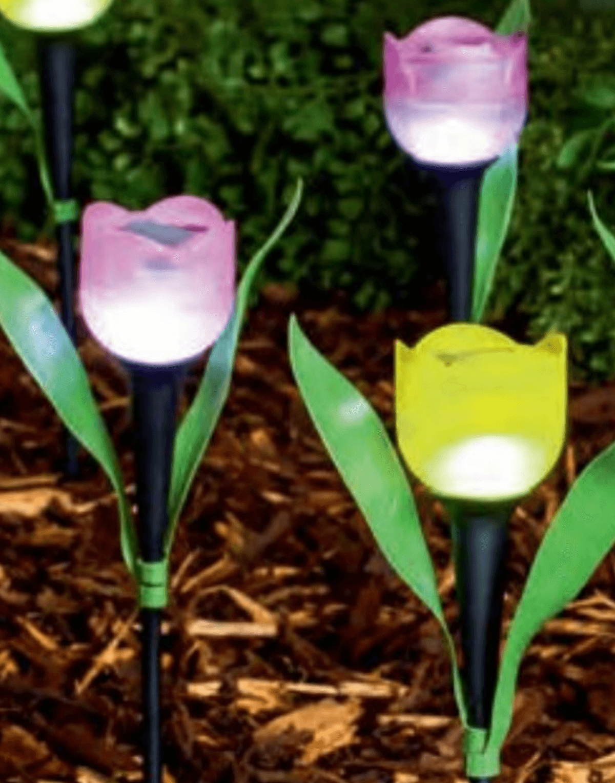 Solarna svjetiljka tulipan - Akcija u trgovini NKD