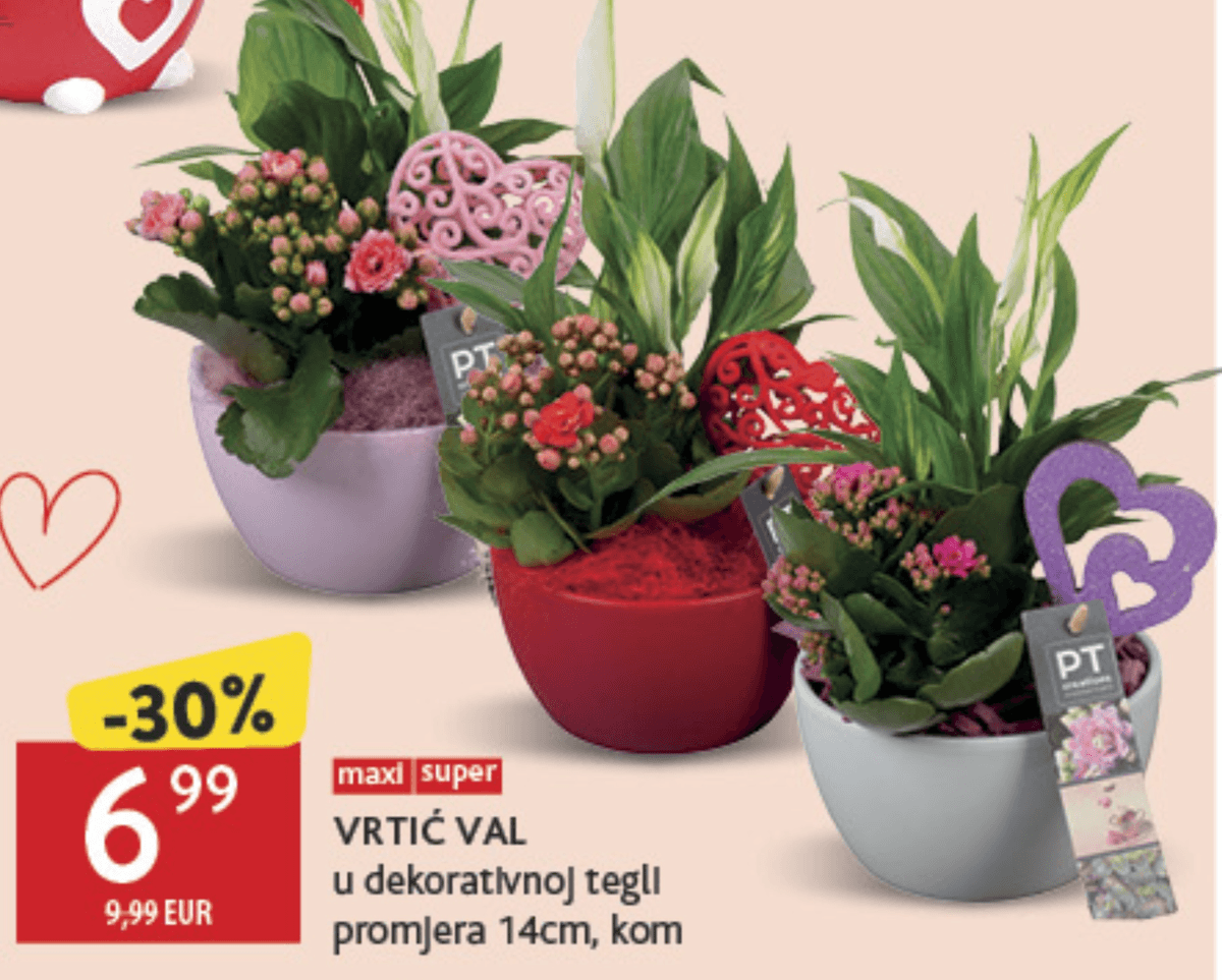 VRTIĆ VAL - Akcija u trgovini Konzum