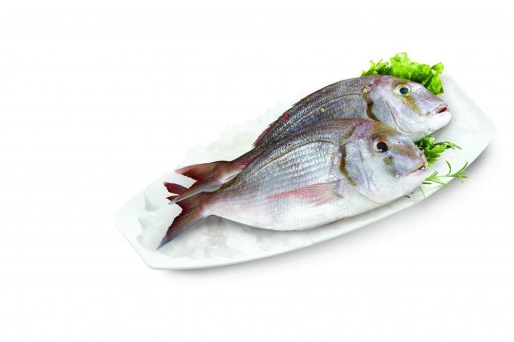 File prugastog pangasiusa 1 kg - Akcija u trgovini Spar