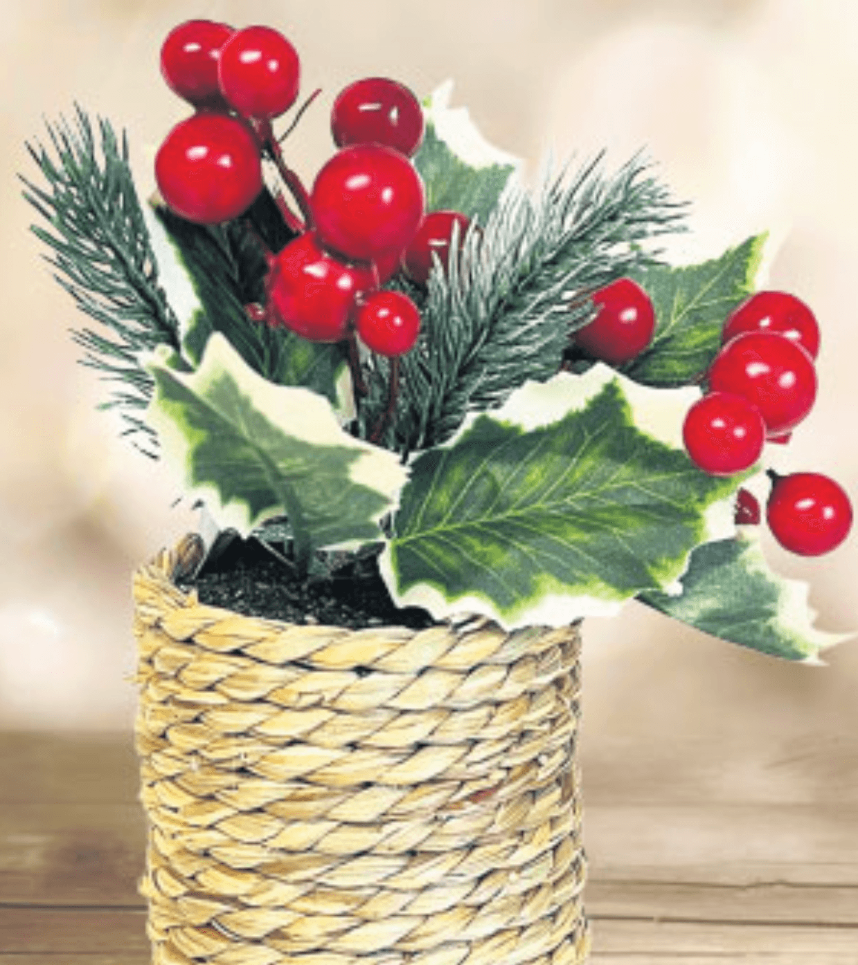 Dekoracija božićna