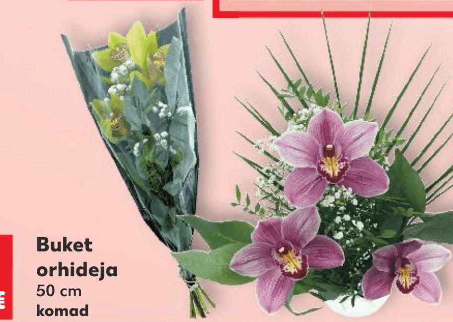 Buket orhideja 50 cm komad - Akcija u trgovini Kaufland