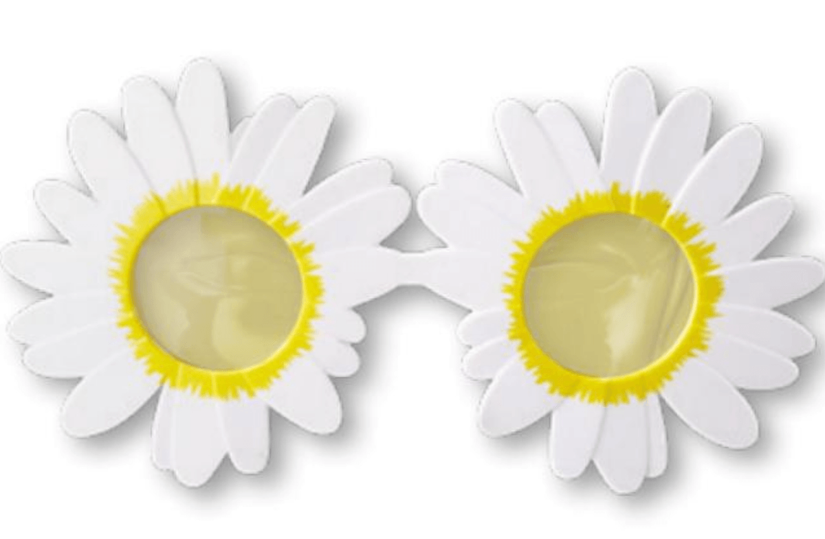 Party naočale cvijet - Akcija u trgovini Tedi