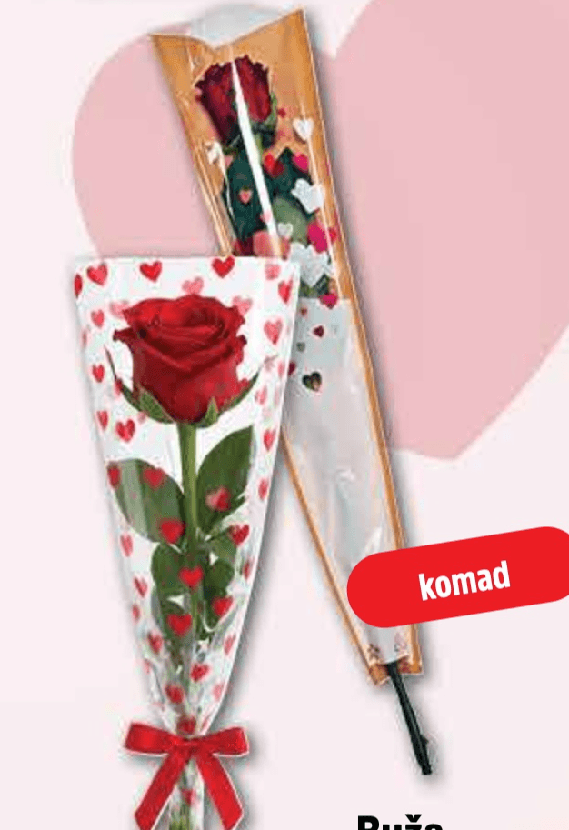 Ruža 1 komad - Akcija u trgovini Plodine