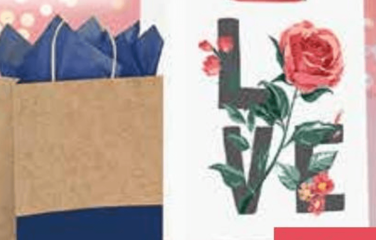 Vrećica L s ukrasnim papirom 1 kom - Akcija u trgovini NTL