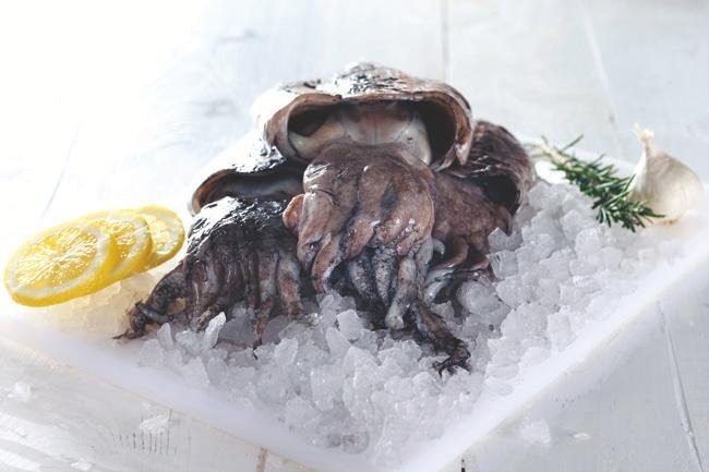 Svježa sipa 1kg - Akcija u trgovini Konzum