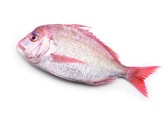 Japanski pagar 600-800 grama / komad - Akcija u trgovini Spar