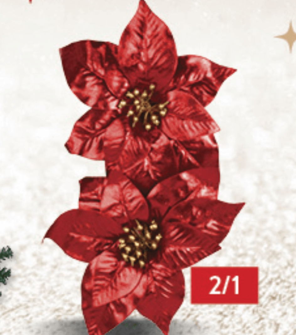 Božićna zvijezda 2/1 set