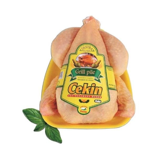 Hrvatsko pile na podlošku Cekin