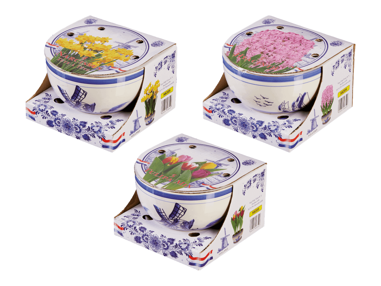 Lukovice Komad - Akcija u trgovini Lidl