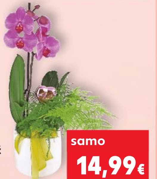 Cvjetni vrtić „Love" komad - Akcija u trgovini Kaufland