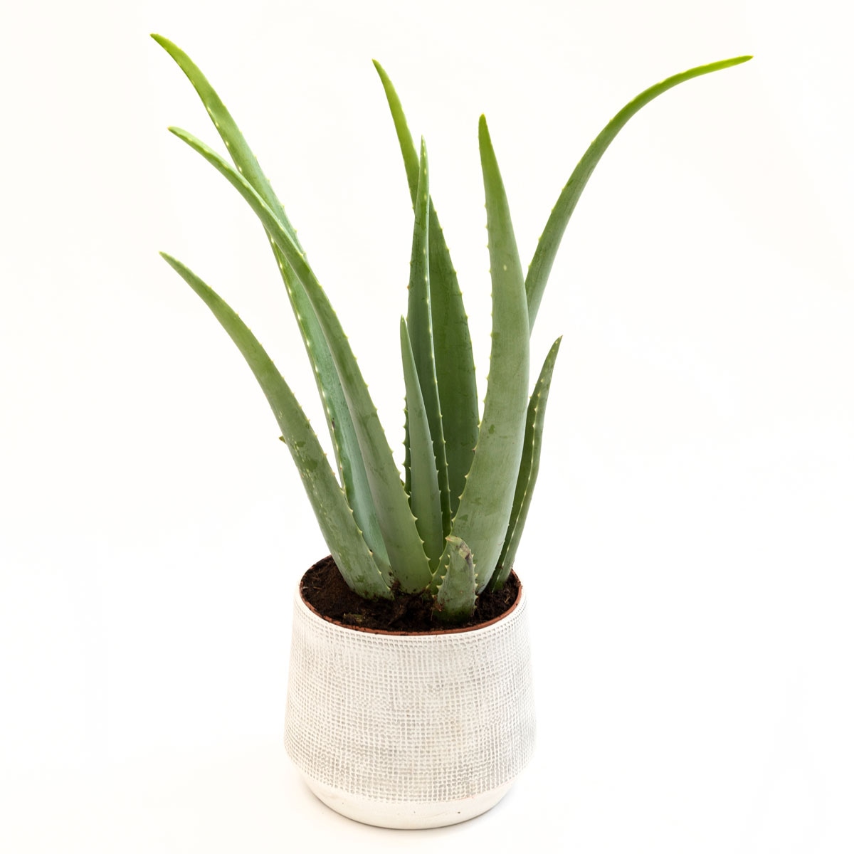 Zeleni mix Komad - Akcija u trgovini Lidl