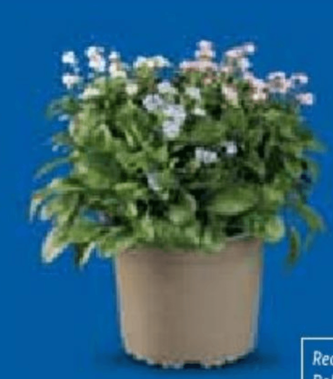 Potočnica - Akcija u trgovini Lidl