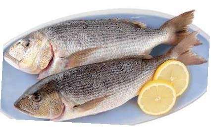 Cromaris Svježi Zubatac cca 900 g