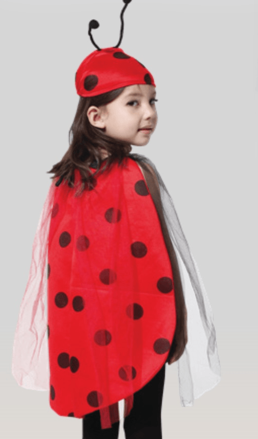 Bubamara kostim - Akcija u trgovini Plodine