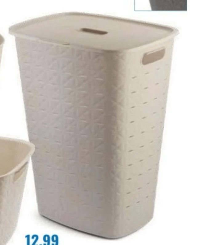 Kanta za rublje 56 L - Akcija u trgovini Eurospin