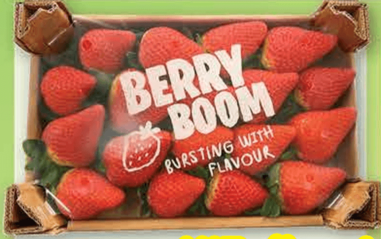 Jagoda 1 kg - Akcija u trgovini Plodine