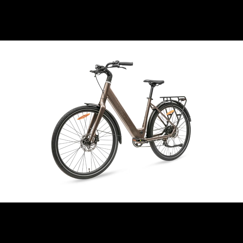 MS ENERGY eBike Zorya bronze Akcija u trgovini Vacom