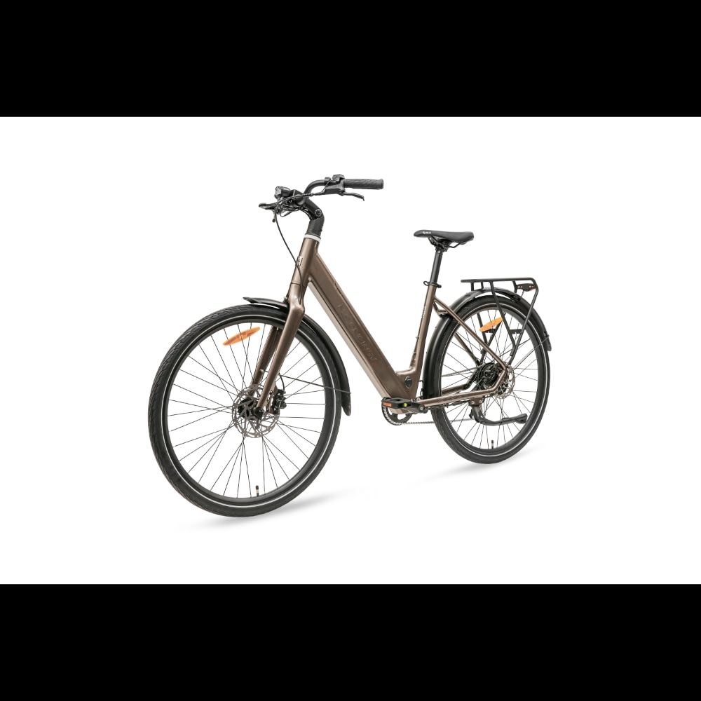 MS ENERGY eBike Zorya bronze Akcija u trgovini Vacom