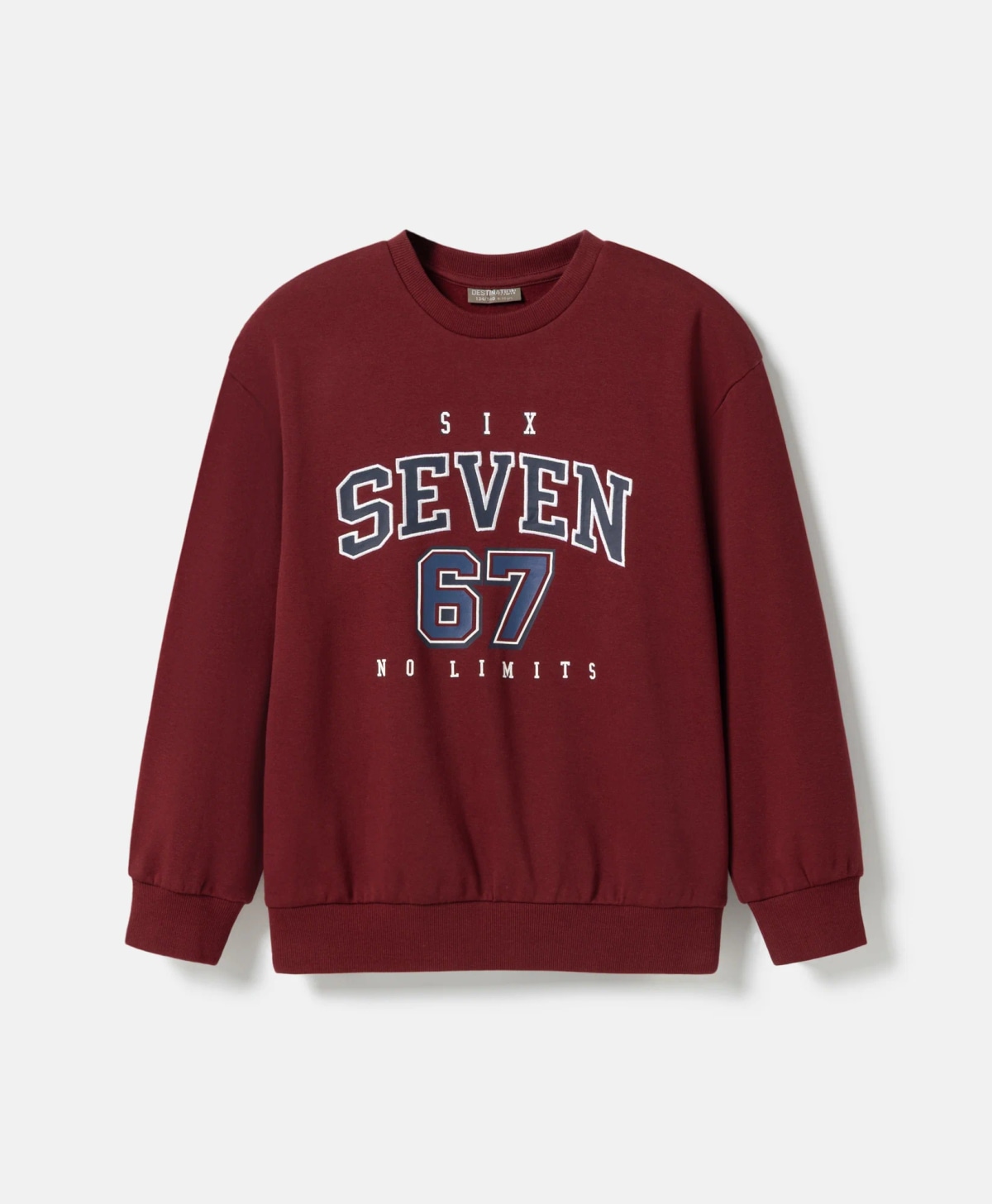 Bluza za dječake bordocrvena s motivom 67 Akcija u trgovini Pepco