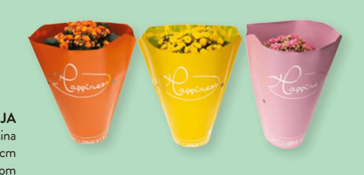 Kalanhoa 1 kom - Akcija u trgovini Spar