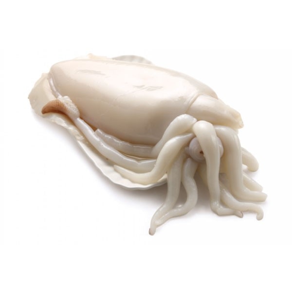 Svježa sipa 1 kg - Akcija u trgovini Spar