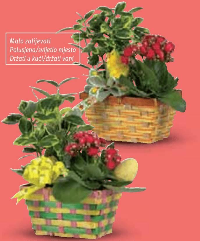 Uskršnja košarica Komad - Akcija u trgovini Lidl