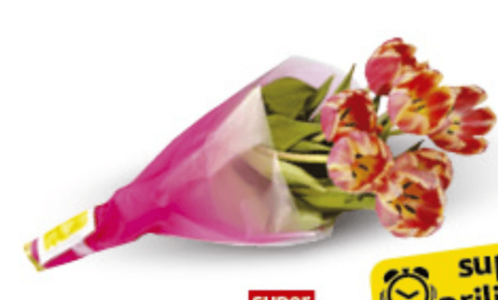Buket 7 tulipana kom - Akcija u trgovini Konzum