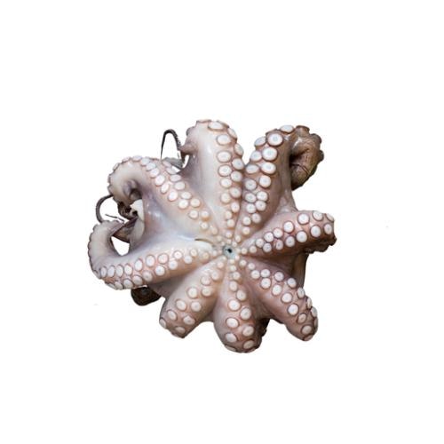 Hobotnica 1 kg Dobar ulov - Akcija u trgovini Plodine