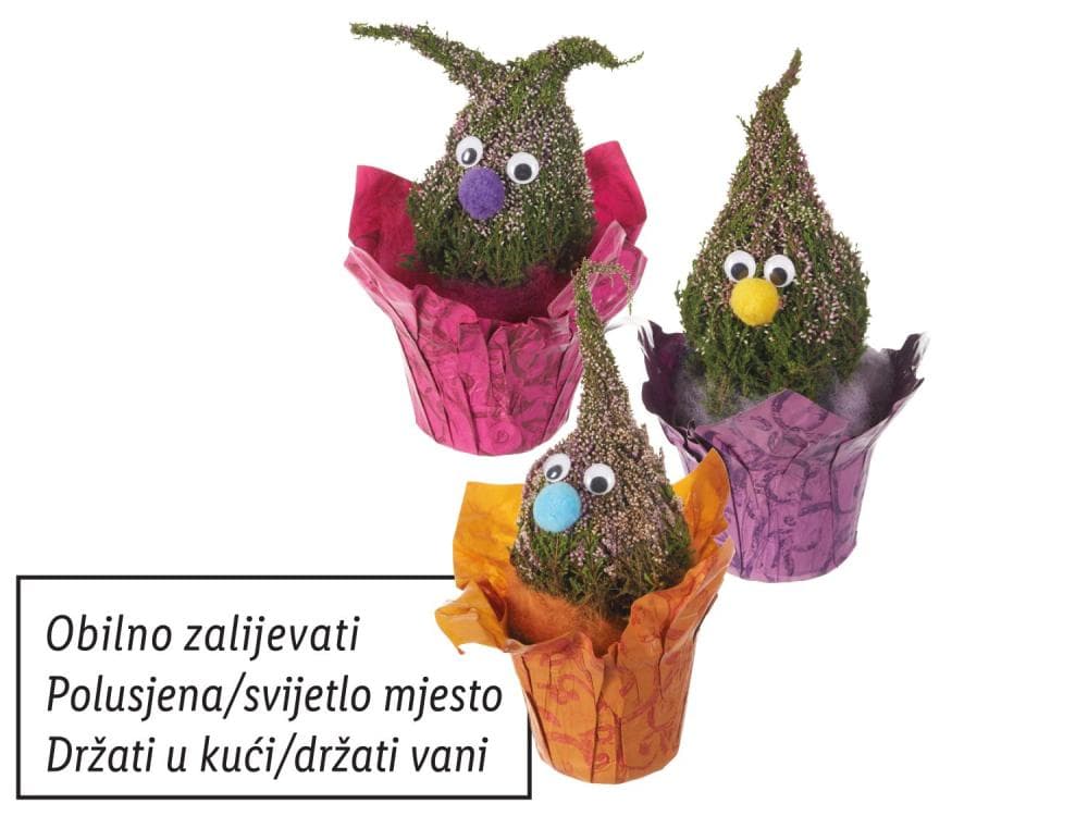 Vrijesak u obliku patuljka Akcija u trgovini Lidl