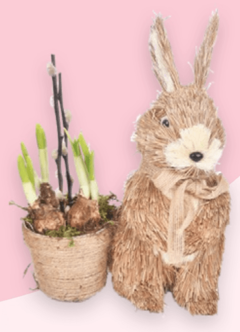 Aranžman Zeko 1 kom - Akcija u trgovini Spar