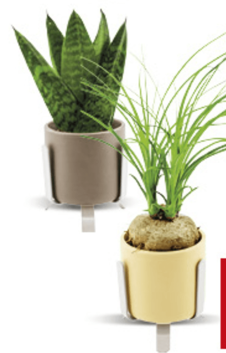 Lončanice - Akcija u trgovini Konzum