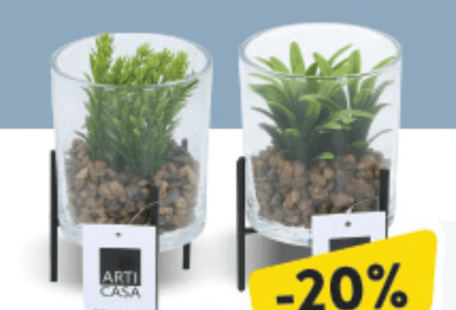 Biljka u čaši - Akcija u trgovini Konzum