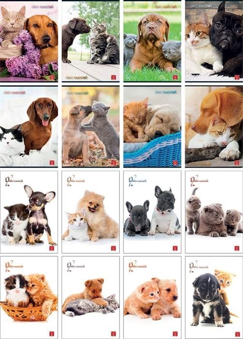 Pigna bilježnica Animal ili Dolci Cuccioli DIN A4, na crte, 42 lista, 80 g Akcija u trgovini Mueller