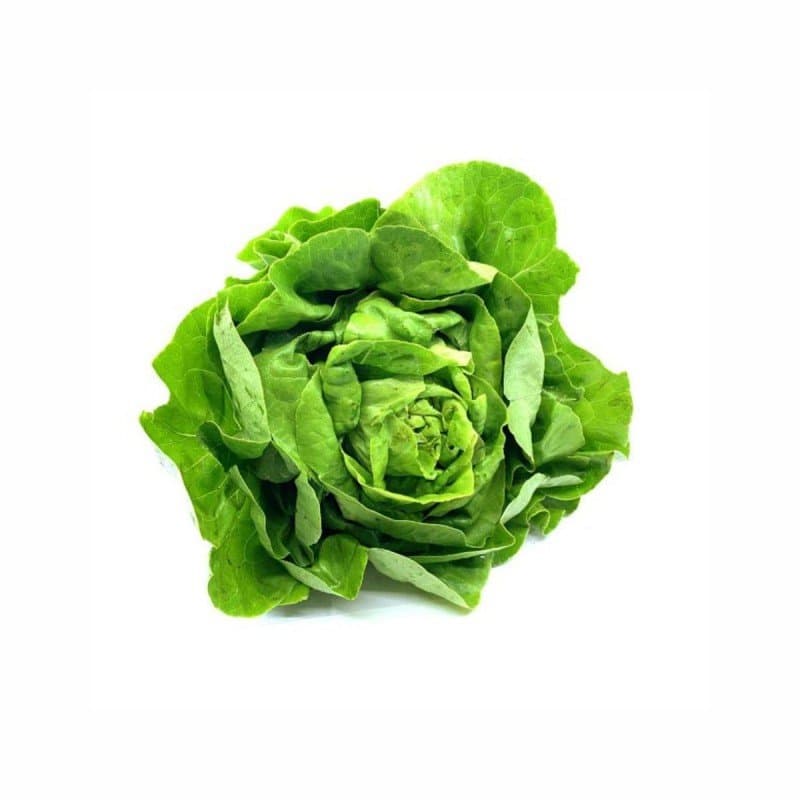 Salata puterica 1 kom Akcija u trgovini Tommy