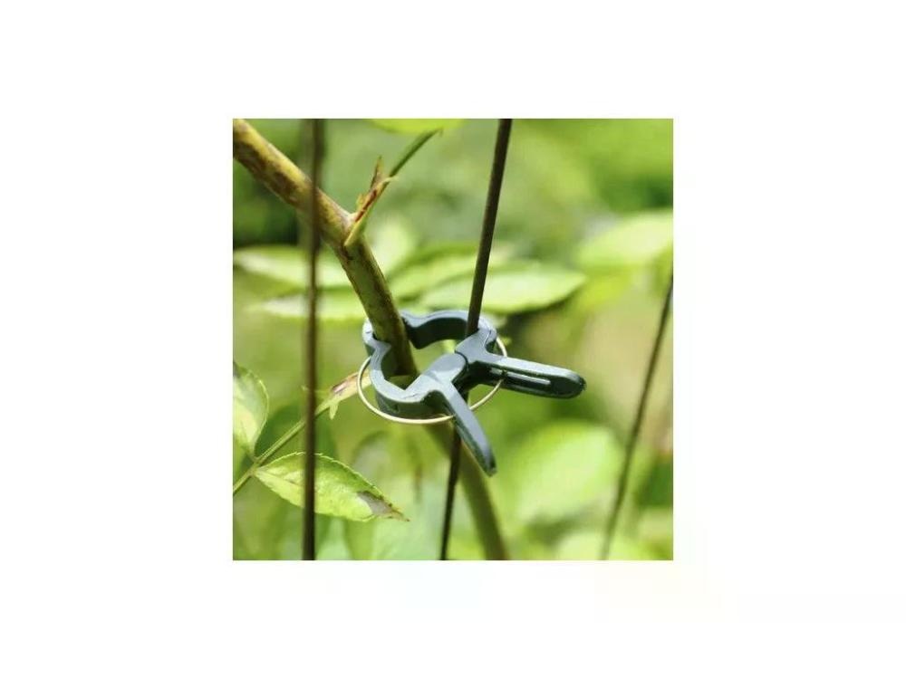 Set stezaljki za biljke 5 komada - Akcija u trgovini Plodine