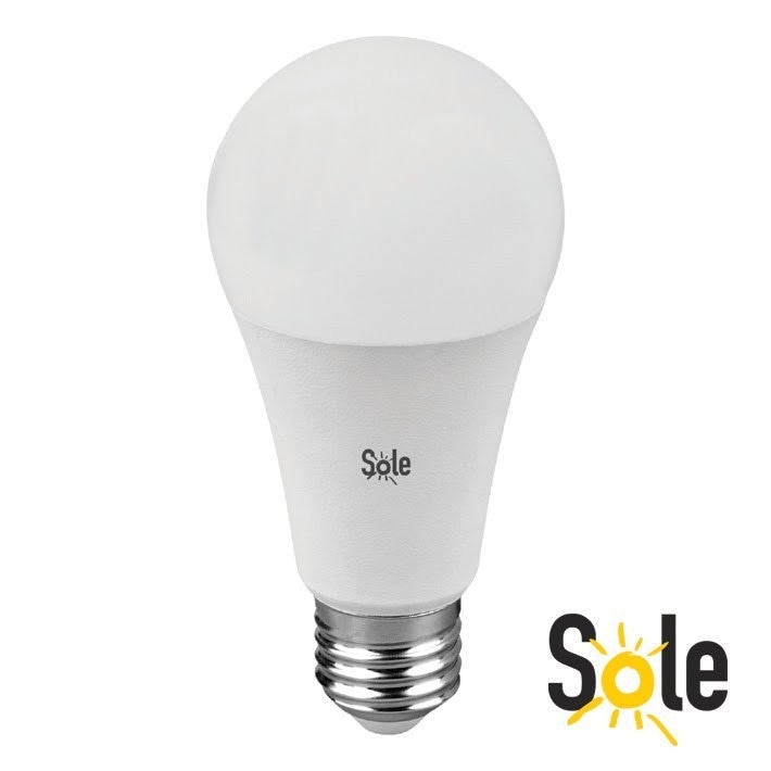 Solę LED žarulja E27, 15 W, 3000 K Akcija u trgovini Metro