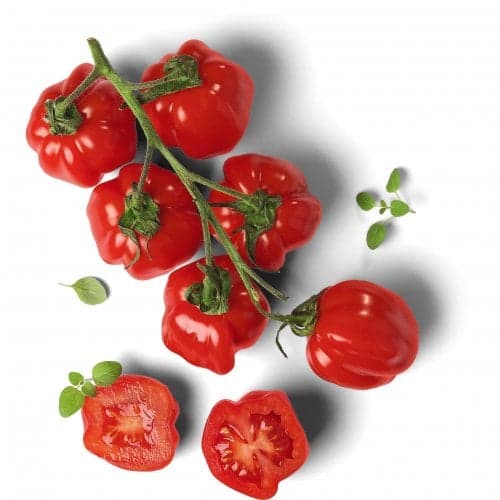 Domaća rajčica Papeletto 400 g Akcija u trgovini Lidl