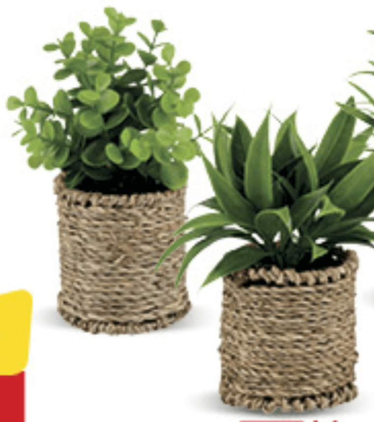 Umjetna biljka - Akcija u trgovini Konzum