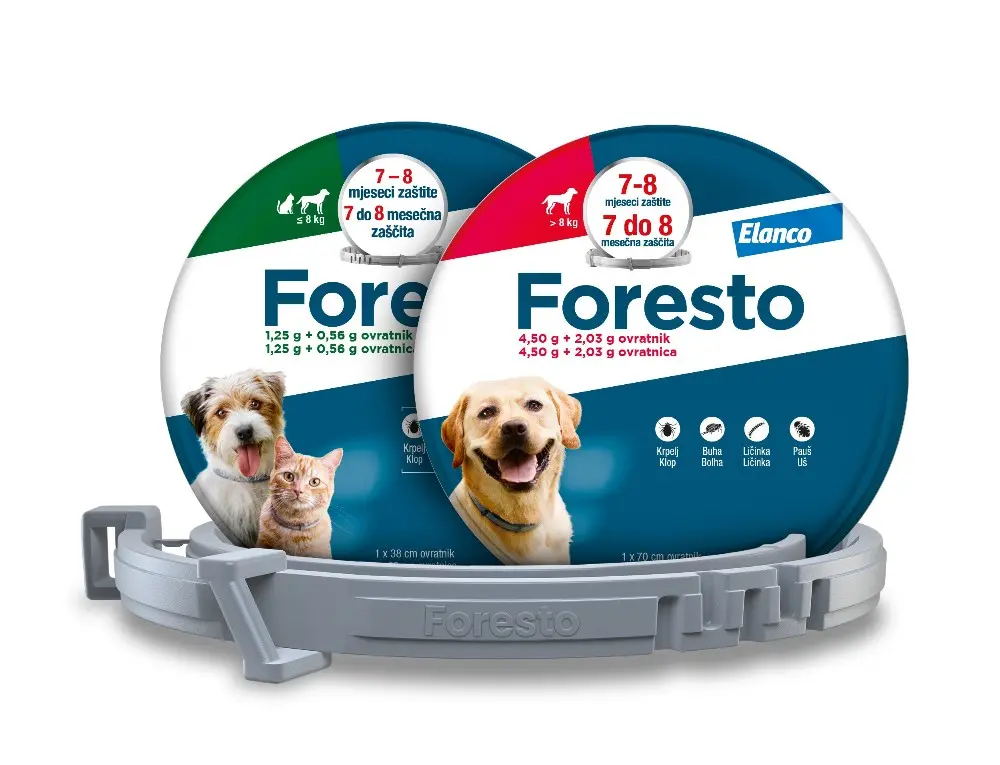 Foresto ogrlica 38 cm Elanco Akcija u trgovini Zoo City