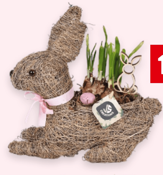 Aranžman Zeko 1 kom - Akcija u trgovini Spar