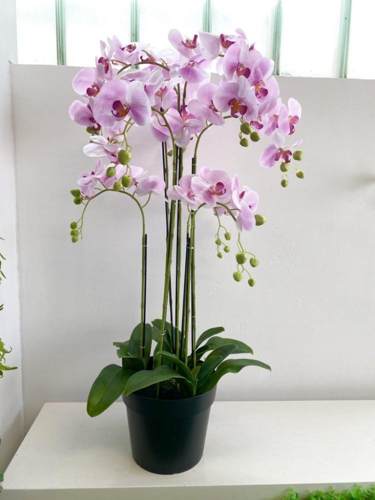 Umjetna orhideja visina 46 cm - Akcija u trgovini Plodine
