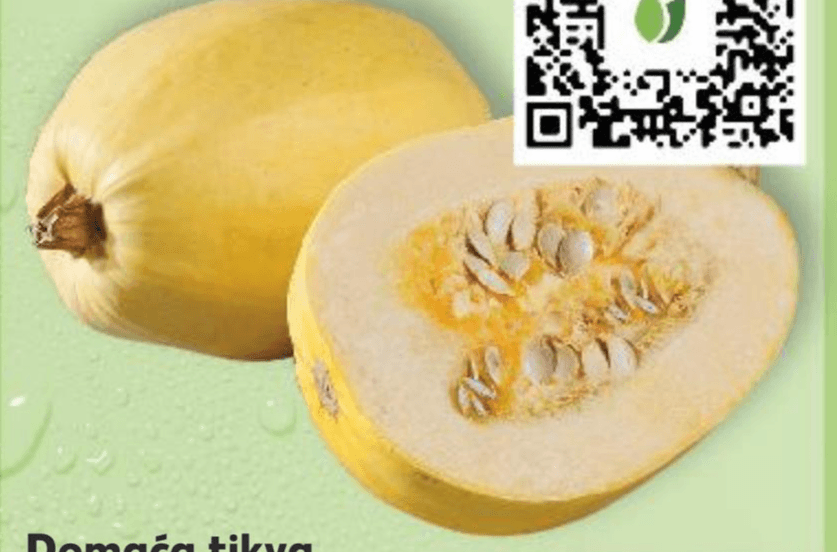 Domaća tikva Špageti 1 kg Akcija u trgovini Kaufland