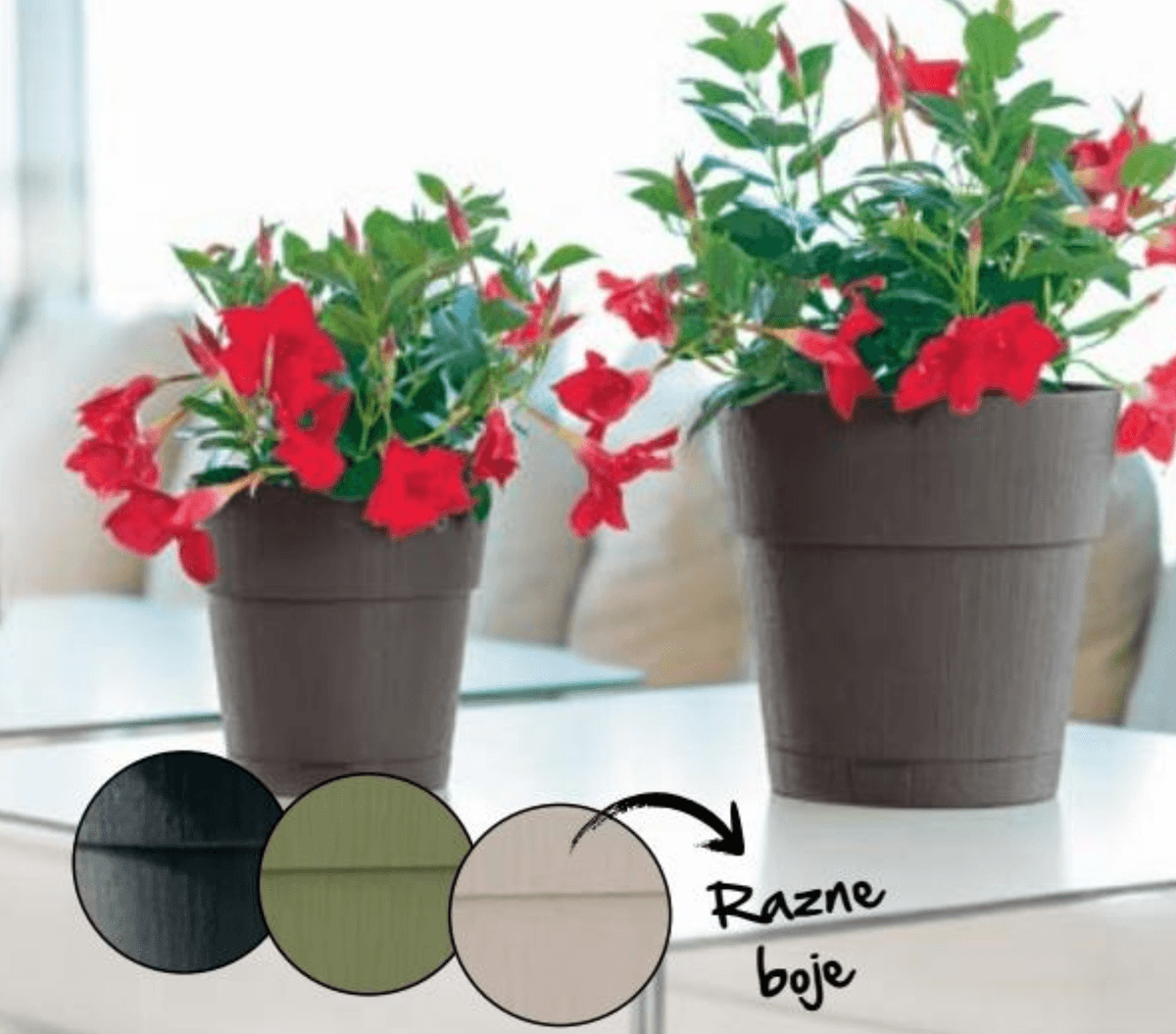 Tegla za cvijeće Ethica 1 kom - Akcija u trgovini Spar