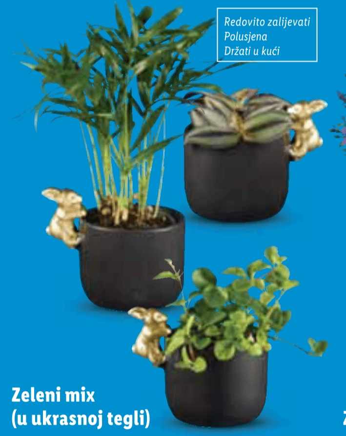 Zeleni mix 1 komad - Akcija u trgovini Lidl