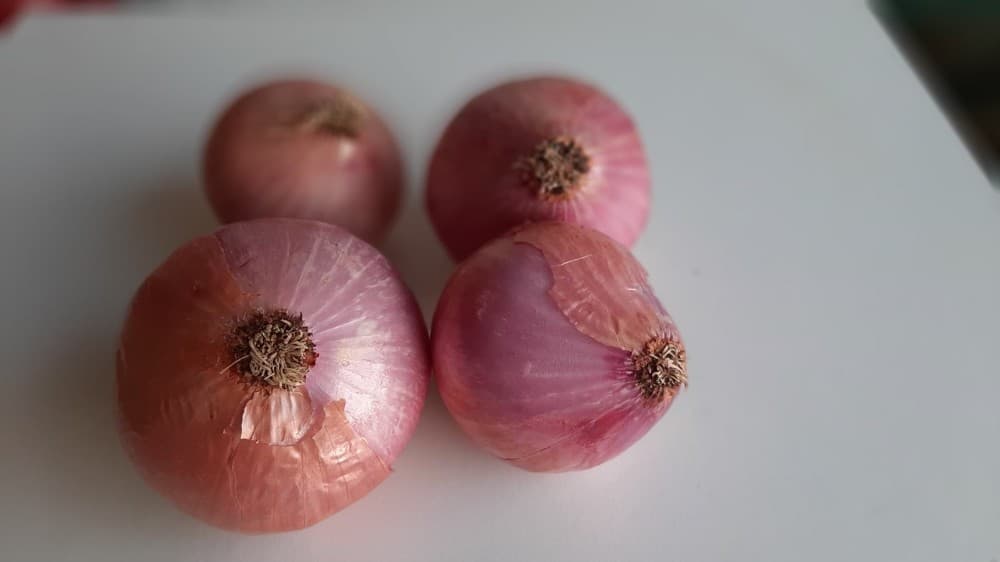 Kapula ljubičasta 1 kg Akcija u trgovini Ribola