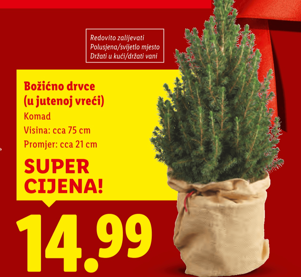 Božićno drvce Akcija u trgovini Lidl