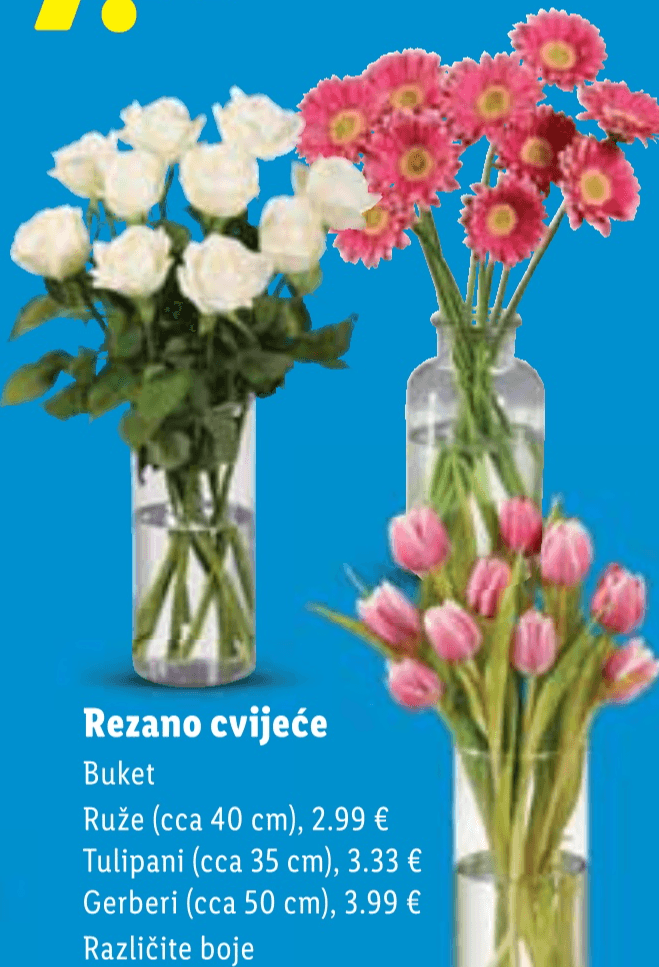 Rezano cvijeće 1 buket - Akcija u trgovini Lidl