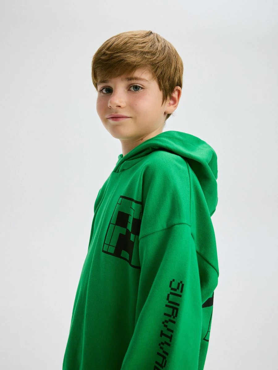 Bluza s kapuljačom Minecraft Akcija u trgovini Pepco