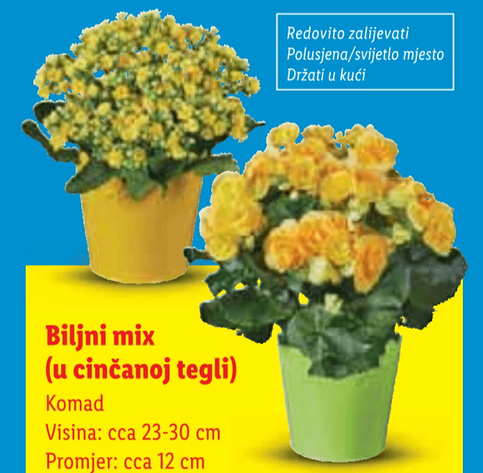 Biljni mix 1 komad - Akcija u trgovini Lidl