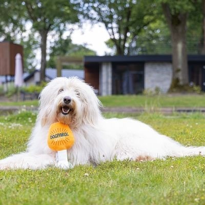 Beeztees igračka za psa Batak 22cm, kom Akcija u trgovini Konzum
